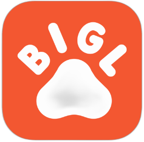 Bigl.ua